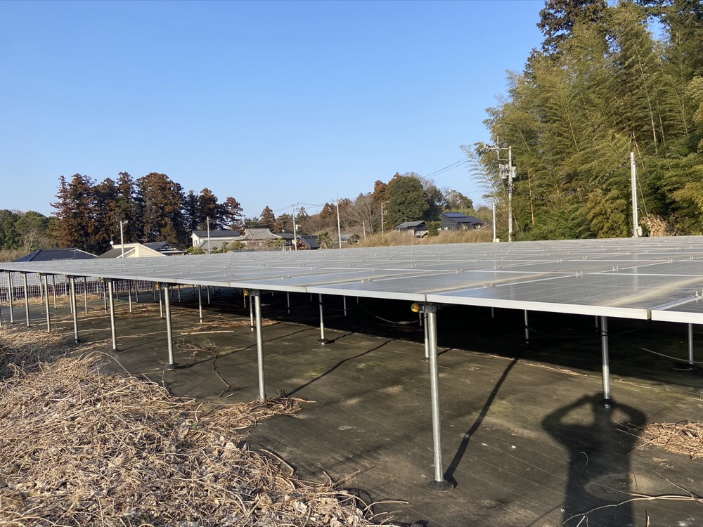 太陽光発電所の保守点検・草刈り 5