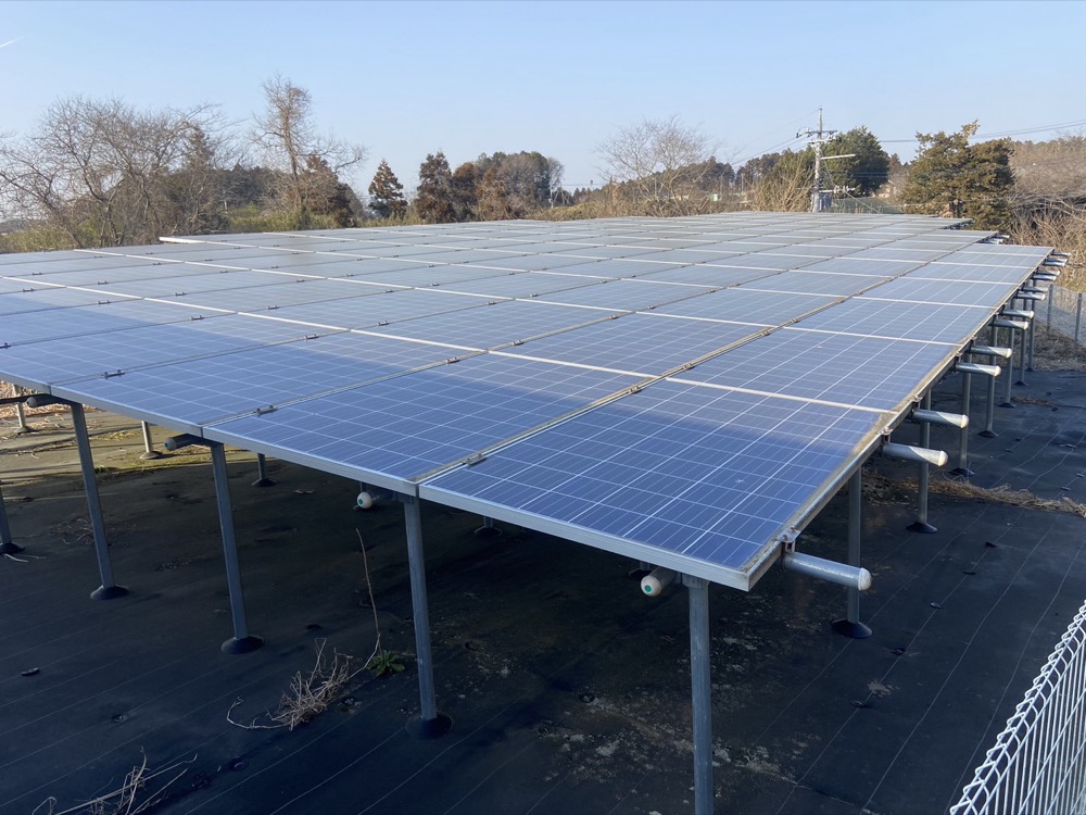 太陽光発電所の保守点検・草刈り 7