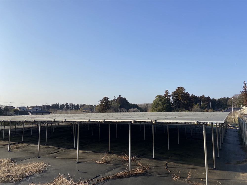太陽光発電所の保守点検・草刈り 8