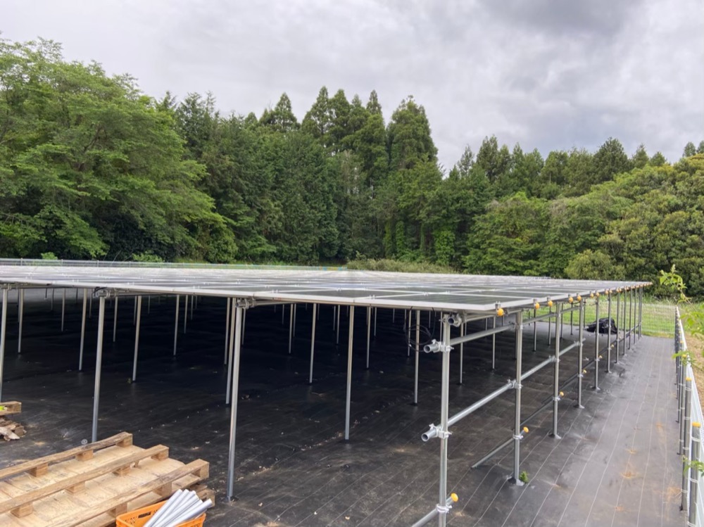 市原市(自社の発電所) 自社の発電所の建設 4