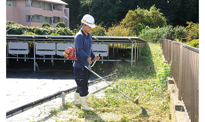 刈払機で作業中